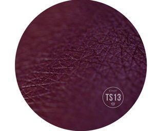 Sinart EXTRA DIMENSION VELOR EYESHADOW пресовані тіні для повік TS13 00396R фото