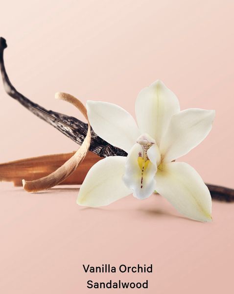 Victoria's Secret Парфумований cкраб для тіла Vanilla Orchid Sandalwood Whipped Body Scrub 275 ml 00775 фото