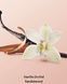 Victoria's Secret Парфумований cкраб для тіла Vanilla Orchid Sandalwood Whipped Body Scrub 275 ml 00775 фото 2