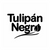 Tulipan Negr